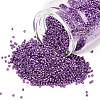 MIYUKI Delica Beads LS-X-SEED-J020-DB2508-1