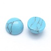 Synthetic Turquoise Cabochons X-G-P393-R13-6mm-2