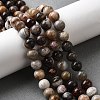 Natural Mexico Crazy Agate Beads Strands X-G-L615-A01-02-2