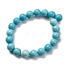 Dyed Natural Magnesite Beads Strands G-P558-A01-01B-3