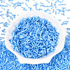 Glass Bugle Beads X-SEED-N007-28E-2