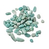 Natural Amazonite Chip Beads G-M364-04B-4