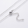Stainless Steel Pendant Necklaces NJEW-I106-04S-4