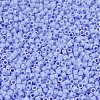 MIYUKI Delica Beads SEED-X0054-DB1587-3