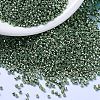 MIYUKI Delica Beads SEED-MY11-DB1845-4