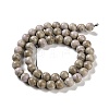 Natural Rainbow Alashan Agate Beads Strands G-NH0022-A09-02-3
