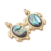 Natural Paua Shell Epoxy Resin Pendants PALLOY-JF05271-01-3