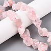 Natural Rose Quartz Beads Strands G-R421-17-5