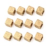 304 Stainless Steel European Beads SA-CBA66F5-02G-1