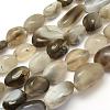 Natural Botswana Agate Beads Strands G-L464-03-1