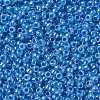 TOHO 8/0 Round Beads X-SEED-TR08-0917-2