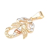 Brass Pendants KK-K409-02G-2