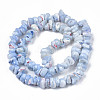 Natural Freshwater Shell Beads Strands SHEL-N003-23-B02-2