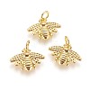 Brass Charms KK-G364-10G-1