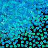 2000Pcs UV Plating Resin Charms RESI-NB0002-17B-6
