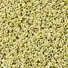 TOHO 11/0 Round Beads SEED-TR11-0559-2