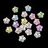 Crackle Transparent Acrylic Beads AC-CBA4496-01-1