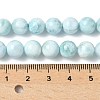 Natural Larimar Beads Strands G-B141-01-8mm-5