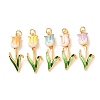 Brass with Enamel Pendants KK-CBA2F11-06G-1