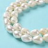 Natural Cultured Freshwater Pearl Beads Strands PEAR-Z002-02-4