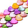 Natural Freshwater Shell Beads Strands X-SHEL-S278-024B-1