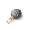 Natural Tiger Eye Faceted Hexagonal Cut Flat Round Charms PALLOY-JF04846-5