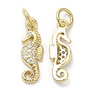 Brass Micro Pave Cubic Zirconia Pendants X-KK-Q775-04G-1