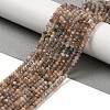 Natural Multi-Moonstone Beads Strands G-B074-A08-01-1