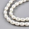 Baking Paint Pearlized Glass Pearl Bead Strands HY-T002-01C-02-2
