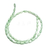 Natural Freshwater Shell Beads Strands SHEL-C010-01-4