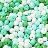 6/0 Opaque Baking Paint Glass Seed Beads SEED-M012-02A-27-3
