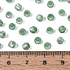 Silver Lined Glass Seed Beads SEED-T007-18A-06-4
