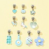 10Pcs 10 Styles Alloy Enamel & Resin European Dangle Charms PALLOY-FZ00006-6