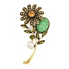 Plastic & Resin Imitation Turquoise Brooch JEWB-P058-03AG-1