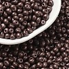 6/0 Glass Seed Beads X1-SEED-L011-08A-08-1