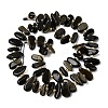 Natural Golden Sheen Obsidian Beads Strands G-L649-A04-01-3