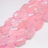 Natural Gemstone Rose Quartz Beads Strands G-L159-08-1