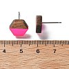 Resin & Walnut Stud Earrings EJEW-R013-01P-5