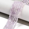 Natural Amethyst Beads Strands G-H042-B24-01-2