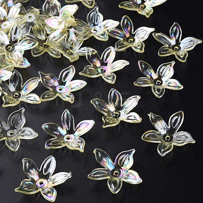 Transparent Acrylic Beads MACR-S373-102-C06-1