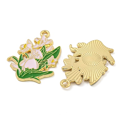 Alloy Enamel Pendants FIND-Z049-01G-C-1
