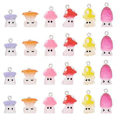 24Pcs 6 Styles Resin Pendants with Platinum Tone Iron Loops RESI-TA0004-17-1