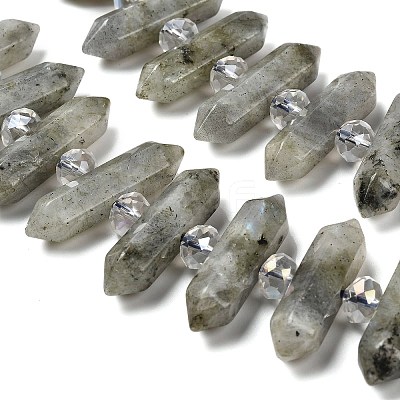 Natural Labradorite Double Terminated Point Beads Strands G-H069-B04-01-1