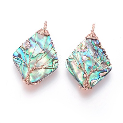 Abalone Shell/Paua ShellWire Wrapped Big Pendants SSHEL-L008-65RG-1