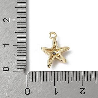 Brass Micro Pave Cubic Zirconia Charms LS-KK-M326-20B-G-1