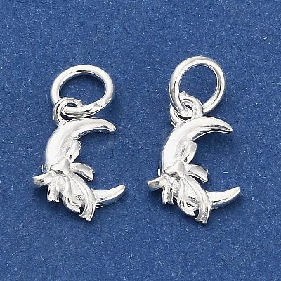 925 Sterling Silver Moon with Bowknot Charms STER-P071-05S-1