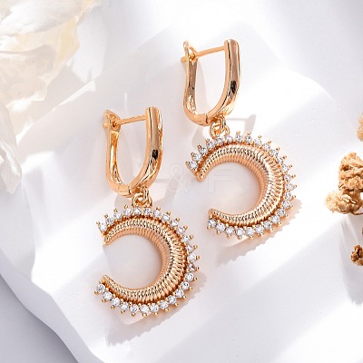 Brass Micro Pave Cubic Zirconia Hoop Earrings EJEW-K300-50G-02-1