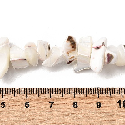 Natural Trochid Shell/Trochus Shell Beads Strands SHEL-B003-02J-1
