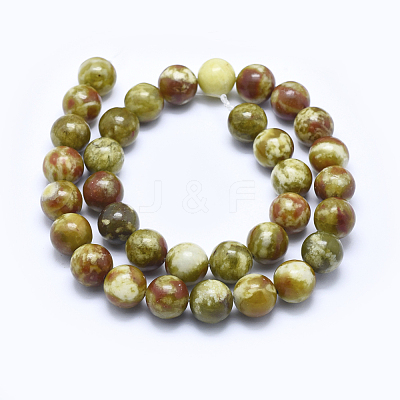 Natural Bloodstone Beads Strands G-I213-25-12mm-1