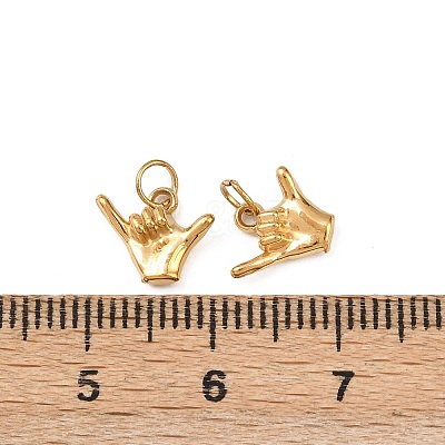 304 Stainless Steel Charms STAS-G364-09G-1